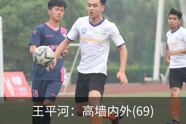 王平河：高墙内外(6/9)
